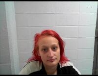Mugshot of WILLIAMS, TINA C