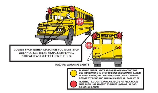 Front and back view of a school bus illustrating its hazard warning lights and stop sign.