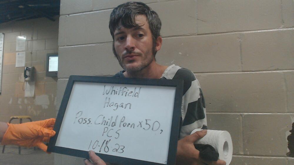 Mugshot of WHITFIELD, HOGAN