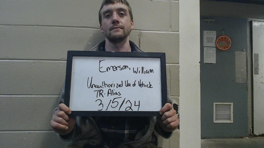 Mugshot of EMERSON, WILLIAM