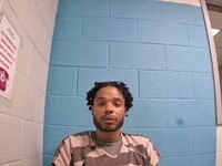 Mugshot of MCDONALD, STEVE A