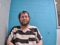 Mugshot of WOOD, MICHAEL L
