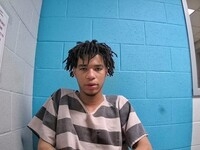 Mugshot of WEBB, CEDRIC A