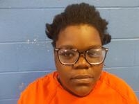Mugshot of WINTERS, AMESHA