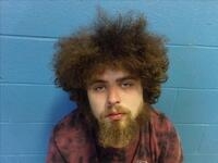 Portrait of wanted person SEGRAVES, DEVIN