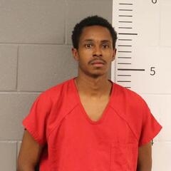 Mugshot of DANIELS, WALTER