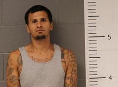 Mugshot of CERNAS, PETER