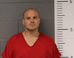 Mugshot of DAVIS, RONALD