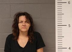 Mugshot of WELK, THRESA