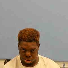 Mugshot of LEE WESLEY