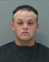 Mugshot of LOWE, DAVID