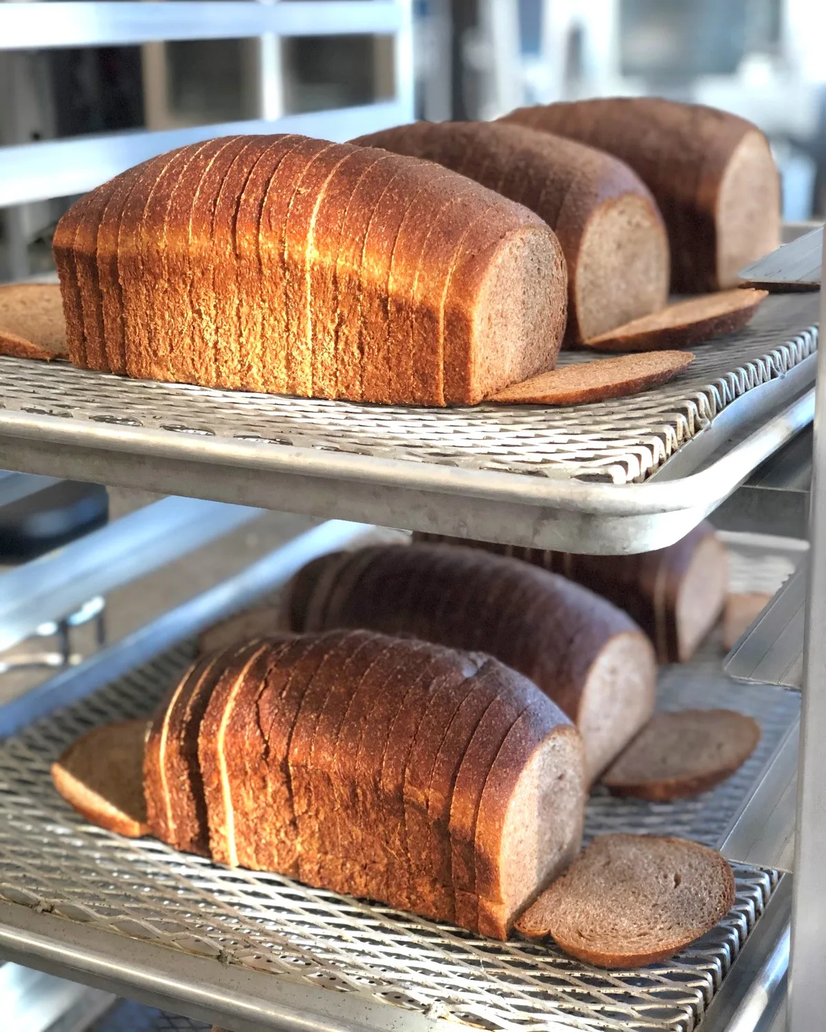 100% Whole Wheat Sandwich Bread recipe image