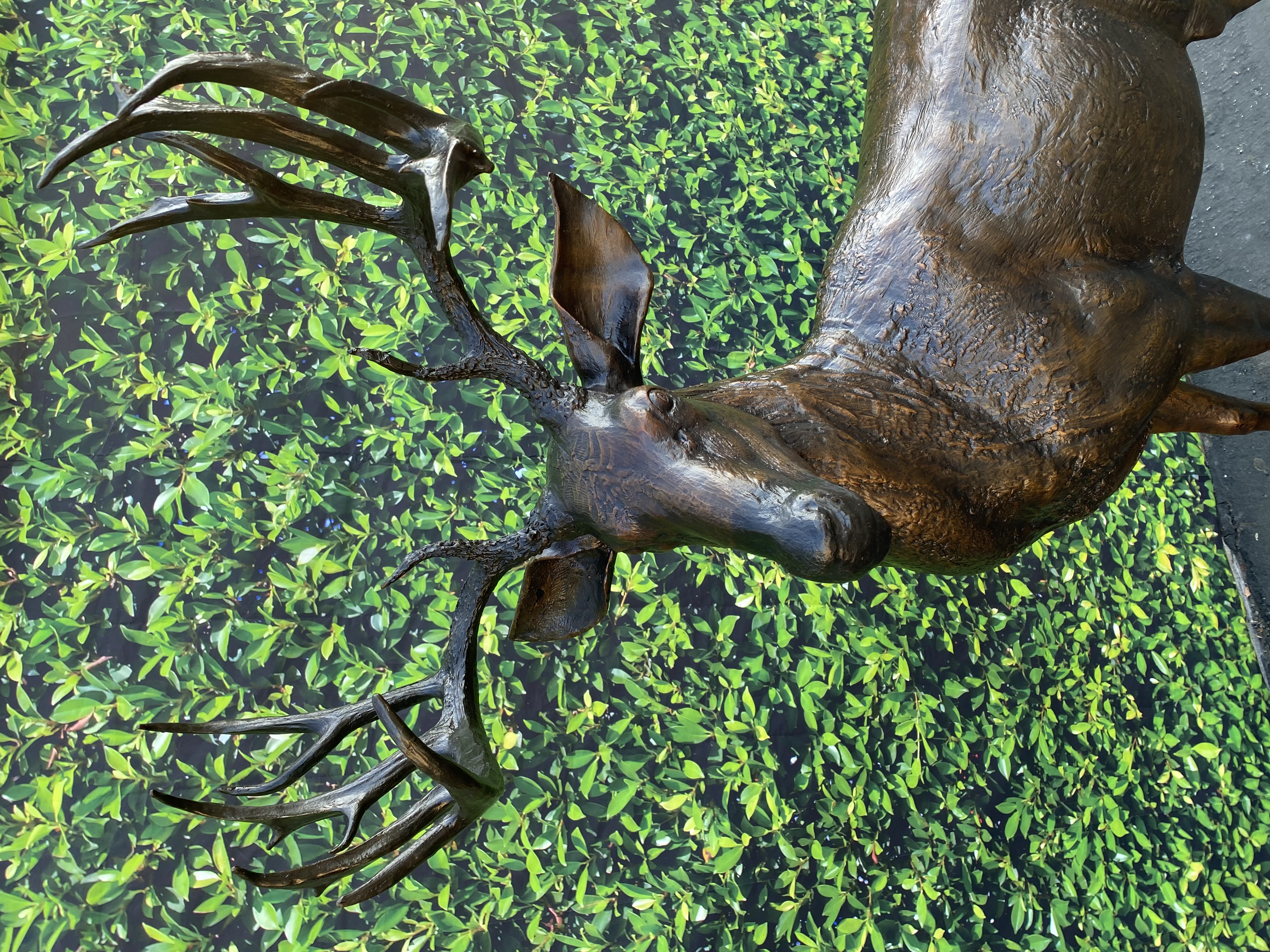 Heroic Deer Bronze 82in H x 42in L x 24in W (Vault_AS) - Image 6