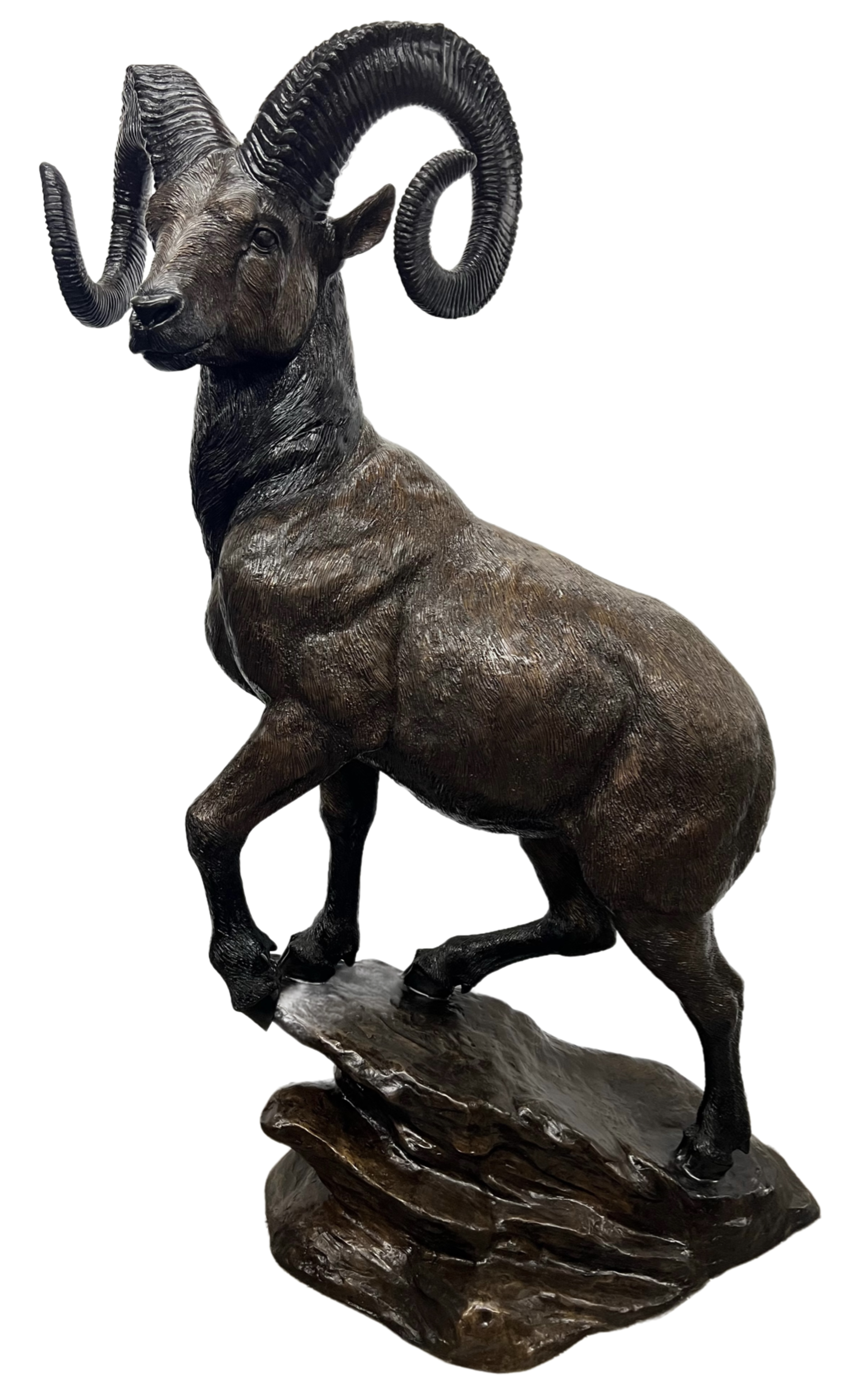 Monumental Ram Bronze by By Max Turner 74in H x 40in L x 24in W (Vault_AS) - Image 5