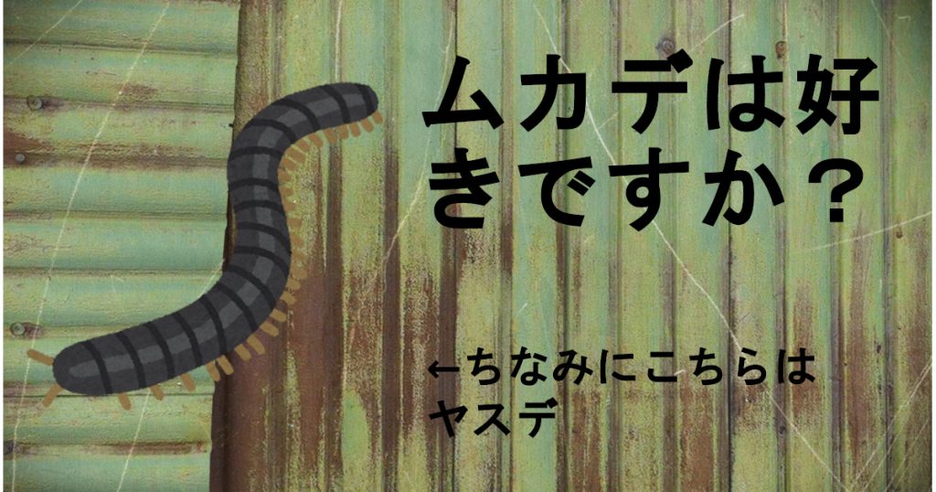 【DBC】ムカデは好きですか？　