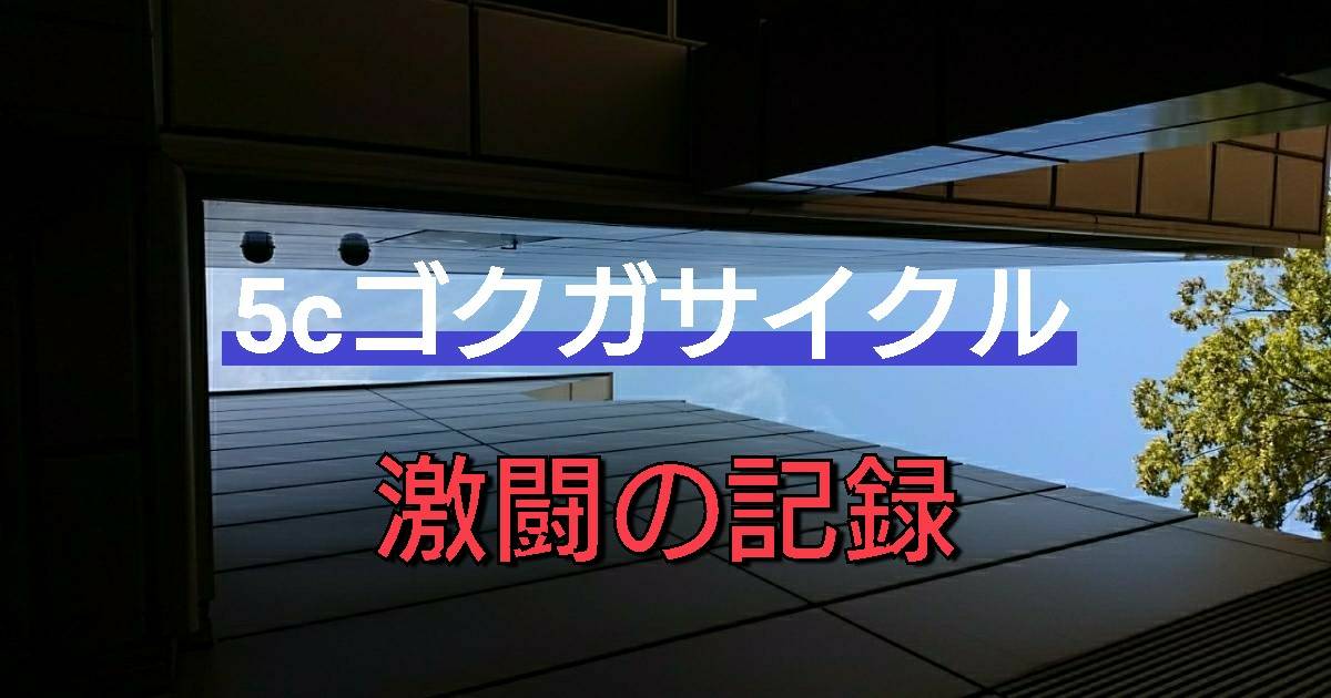 5cゴクガサイクル「激闘の記録」 | デュエルマスターズ - コラム 5cゴクガサイクル「激闘の記録」 | デュエルマスターズ - コラム