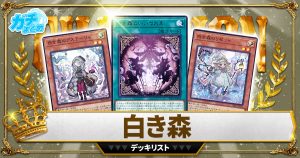 2024 粛声】 優勝デッキレシピ 【遊戯王】 | 遊戯王 - 大会結果 2024 粛声】 優勝デッキレシピ 【遊戯王】 | 遊戯王 - 大会結果
