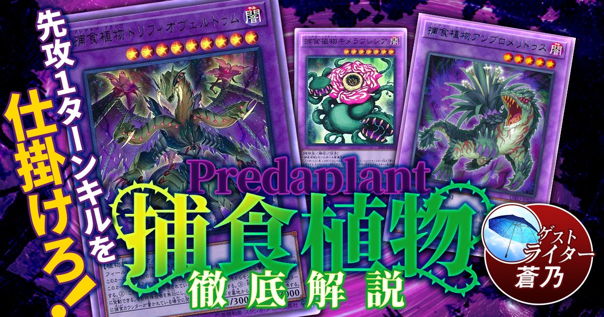 遊戯王 捕食植物デッキ - 遊戯王