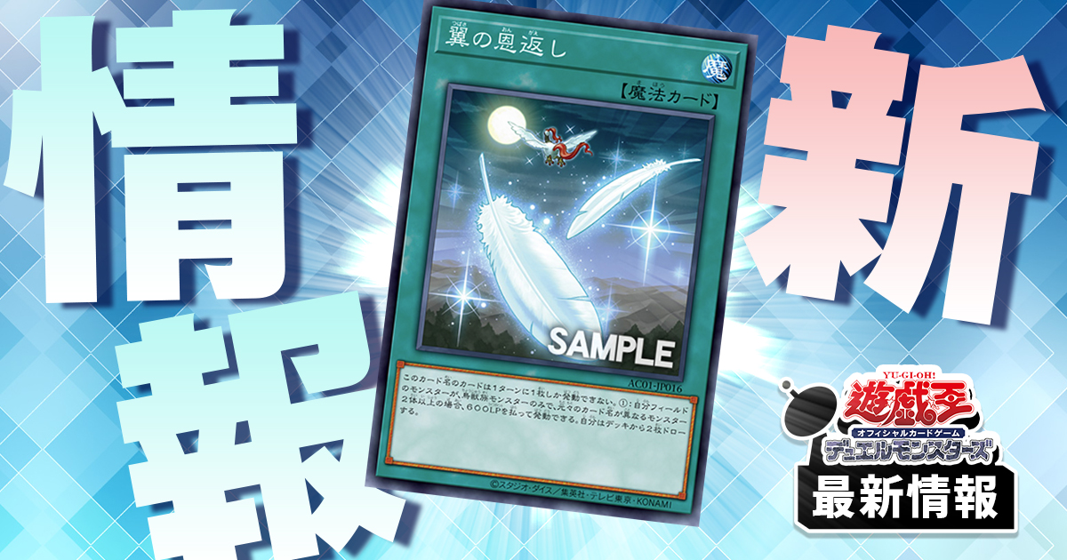 ツバサの恩返し