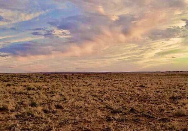 Arizona Navajo County 2.5 Acre Land Investment near Petrified Forest National Park and Interstate 40! Low Monthly Payments!