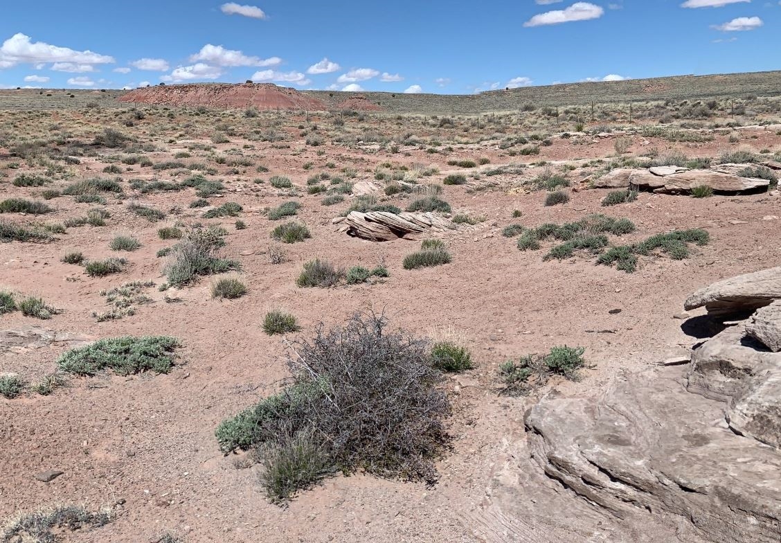 Arizona Navajo County 2.5 Acre Land Investment near Petrified Forest National Park and Interstate 40! Low Monthly Payments! - Image 3