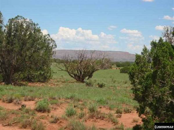 Room to Roam | Rural Acreage Auction - Image 9