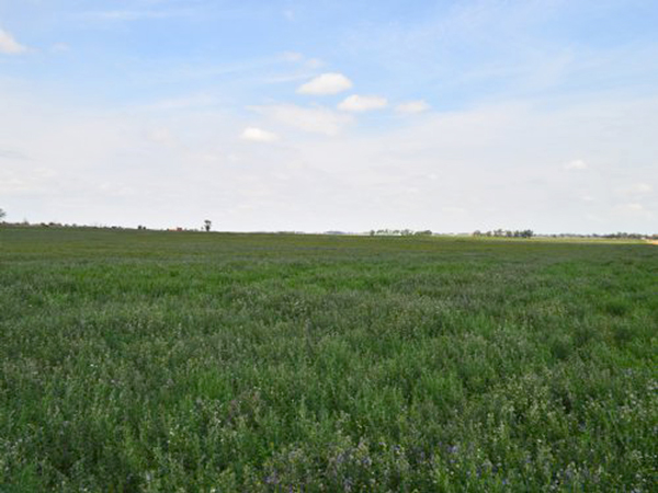 35 Acres of Open Colorado Prairie in Bent County with Agricultural Potential