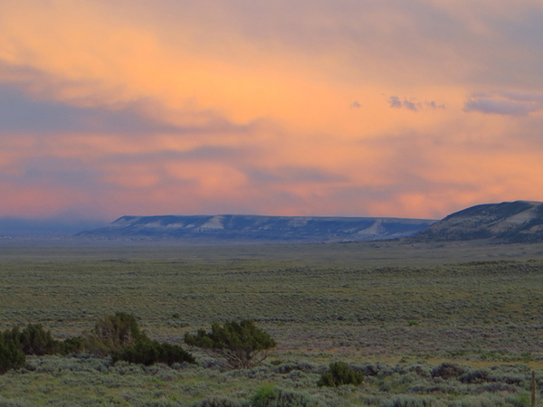 Monday Exclusive Timed Auction | Highest Bid Meeting Reserve Wins
