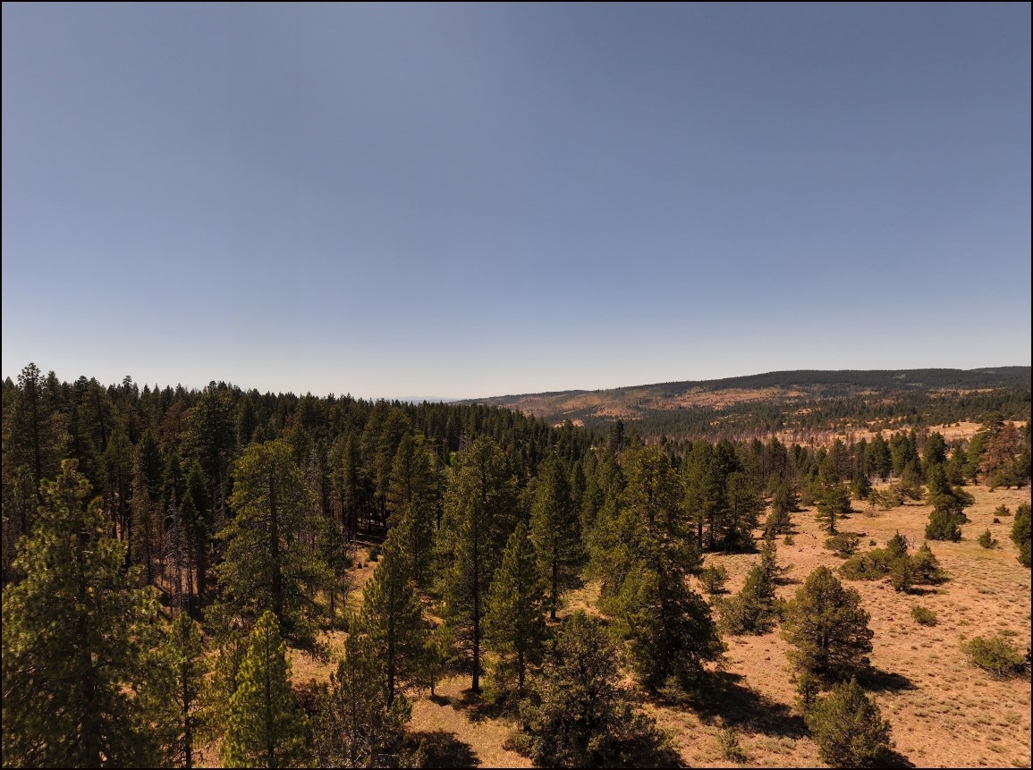 California Pines Homesite Lot Near Alturas and Mountain Country Recreation - Image 3