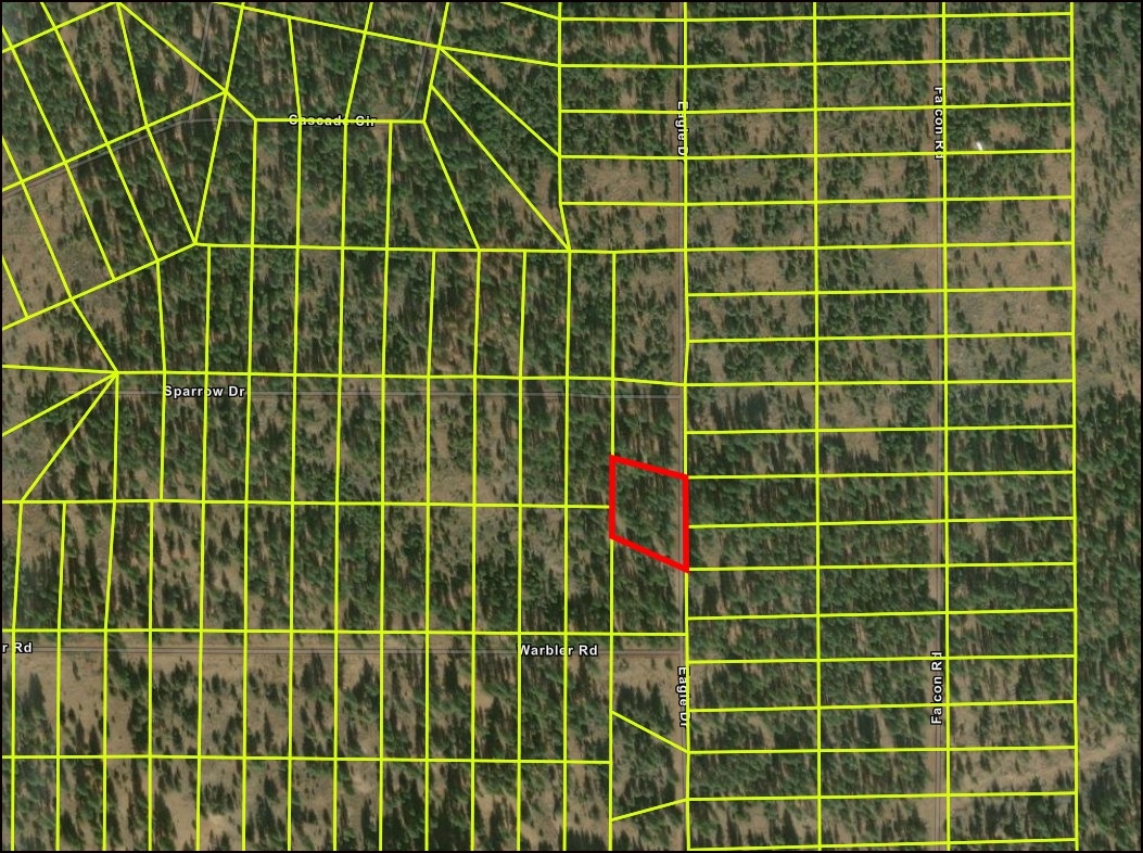 California Pines Homesite Lot Near Alturas and Mountain Country Recreation - Image 5