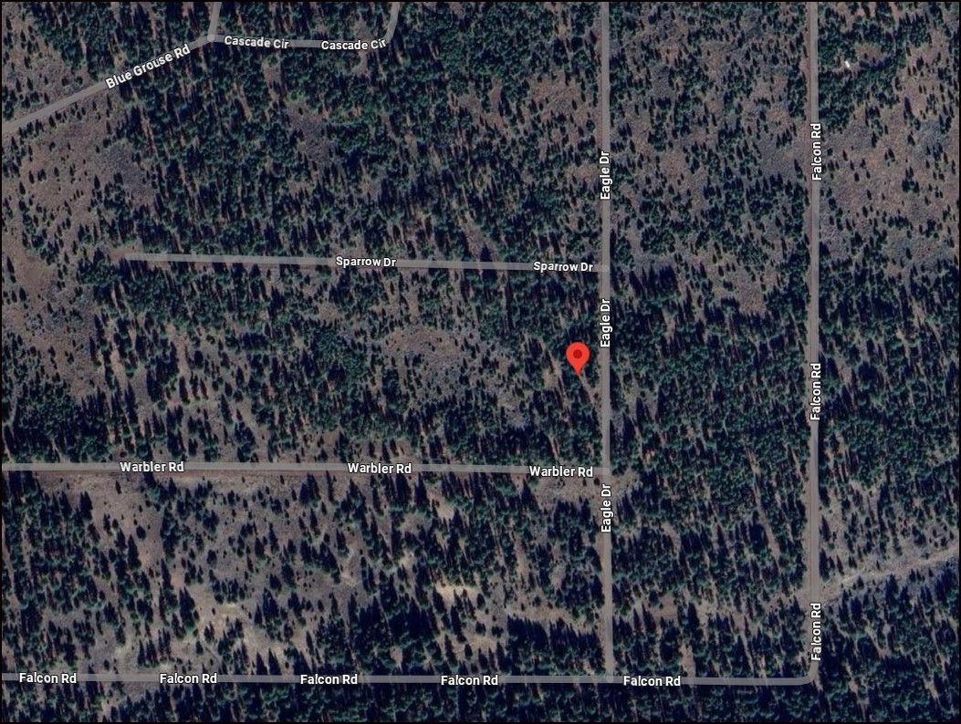 California Pines Homesite Lot Near Alturas and Mountain Country Recreation - Image 6