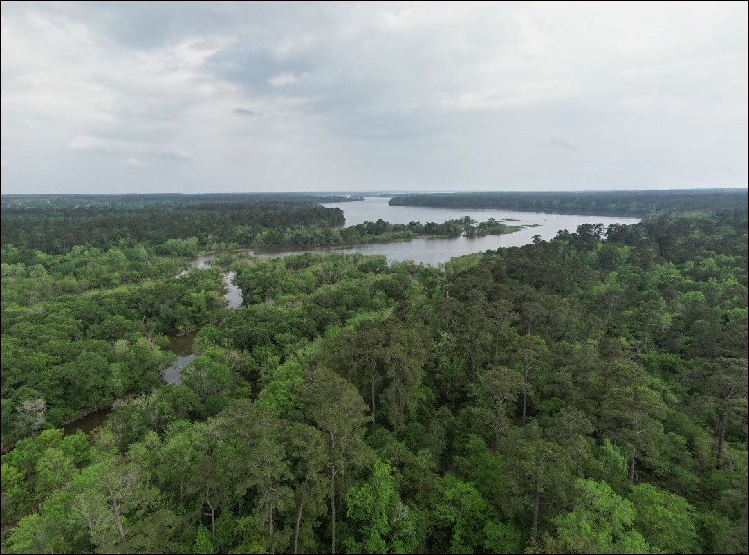 Texas Waller County 0.22 Acre Deerwood Estates Lot! Great Homesite Location Investment! Low Monthly Payment! - Image 5