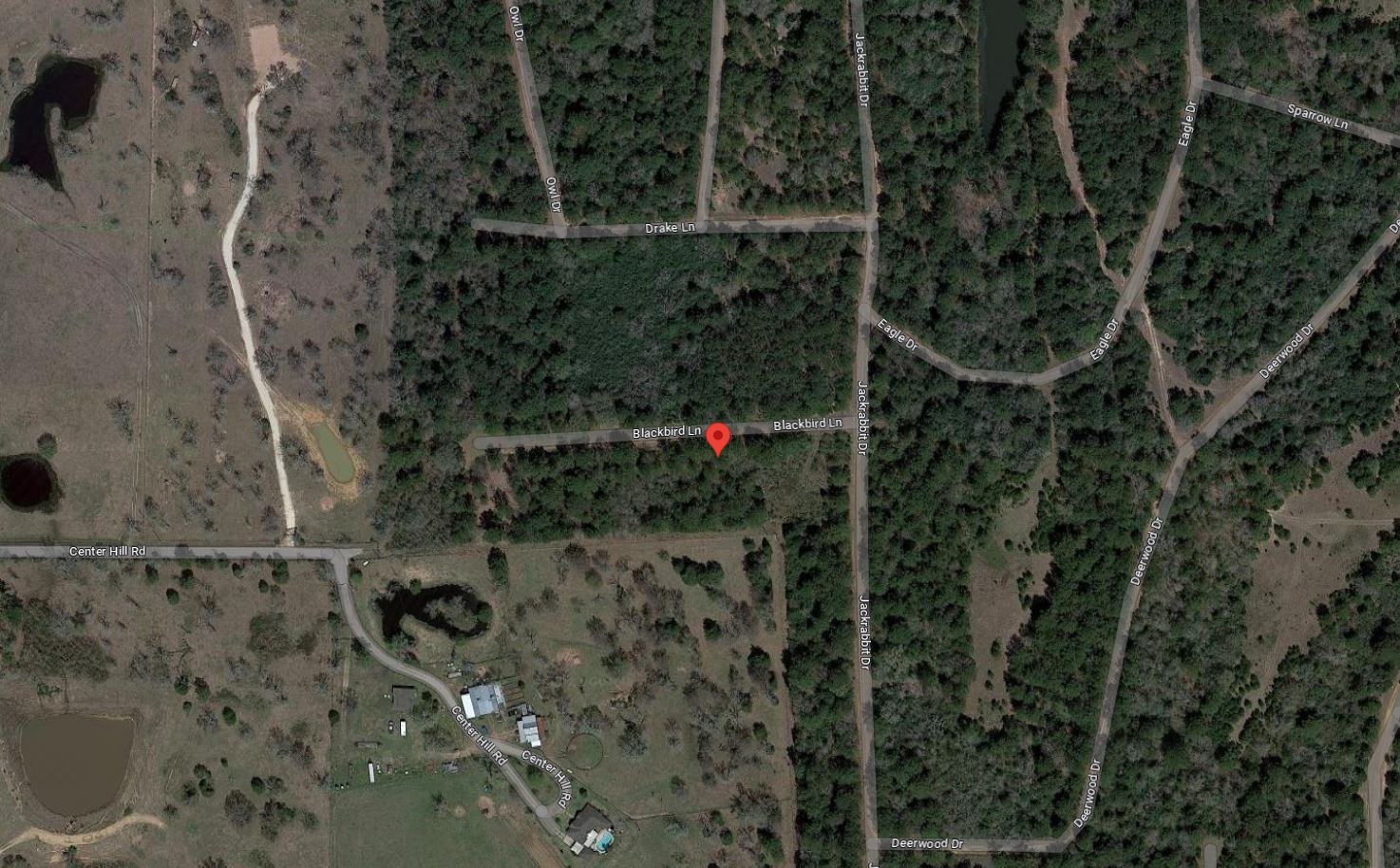 Texas Waller County 0.22 Acre Deerwood Estates Lot! Great Homesite Location Investment! Low Monthly Payment! - Image 8