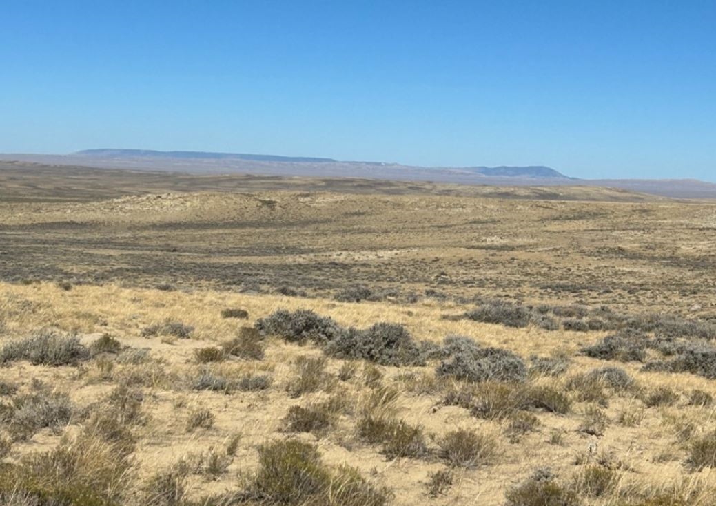 Friday Land Special | Find Unique Land Opportunities - Image 6
