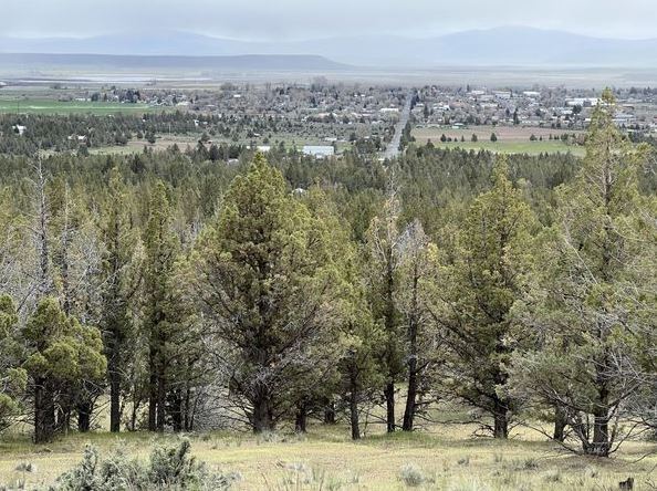 Modoc Recreational Estates Parcel with Space and Views in Northern California - Image 3