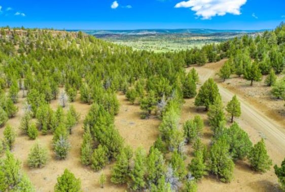 Northern California Modoc County Large 1.46 Acre California Pines Property near Hermit Butte! Great Hiking and Camping! Low Monthly Payment!