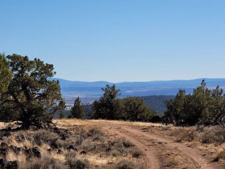 Northern California Modoc County 0.92 Acre California Pines Lot! Incredible Outdoor Recreation Area and Homesite Investment! Low Monthly Payments! - Image 3