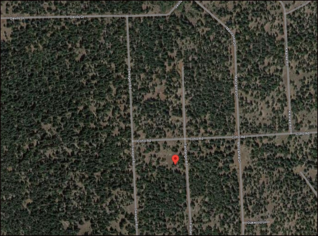 Northern California Modoc County 0.92 Acre California Pines Lot! Incredible Outdoor Recreation Area and Homesite Investment! Low Monthly Payments! - Image 5