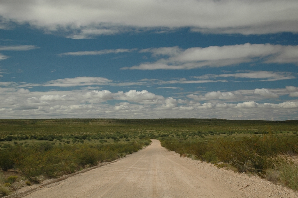 West Texas Desert Acreage near Dell City and the Guadalupe Mountains - Image 3