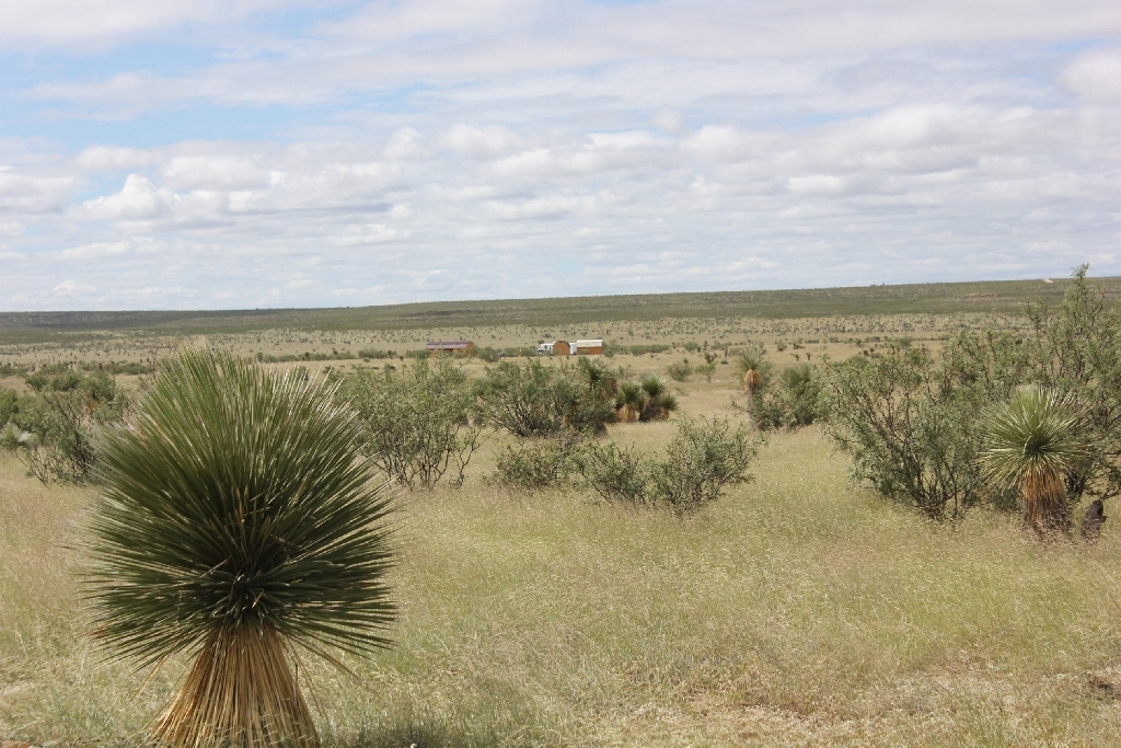 West Texas Desert Acreage near Dell City and the Guadalupe Mountains - Image 4
