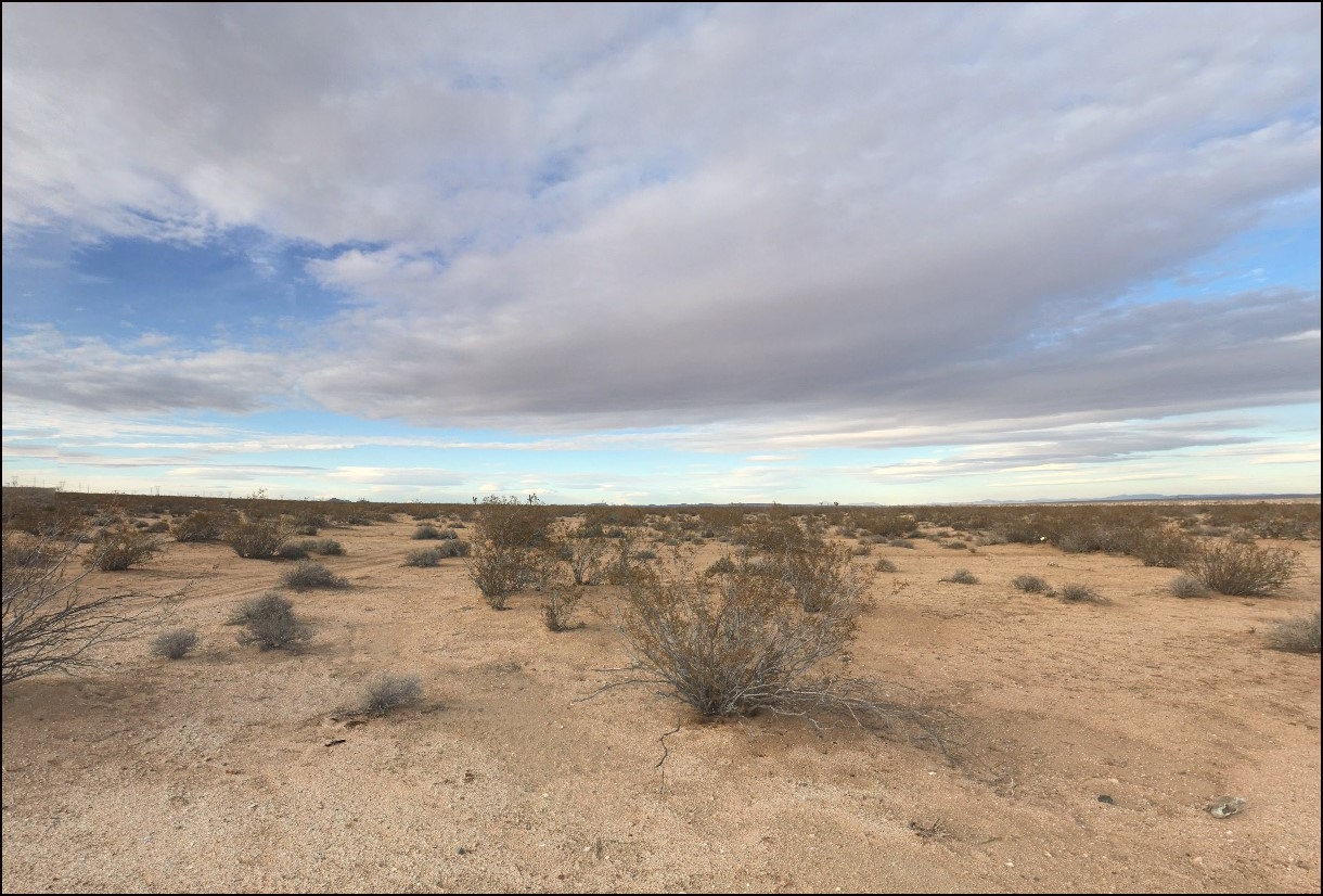 Rural Land Auction | Claim Your Corner of the Outdoors - Image 7