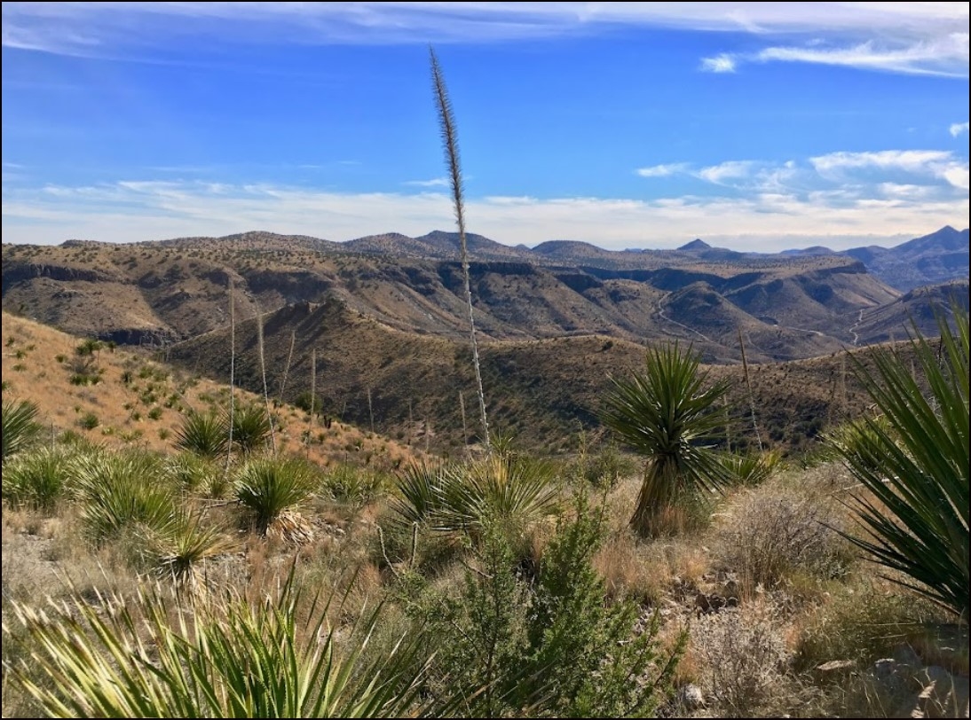 Texas Presidio County 20 Acre Property Near Big Bend Ranch State Park! Great Investment And Recreation! Low Monthly Payments! - Image 4