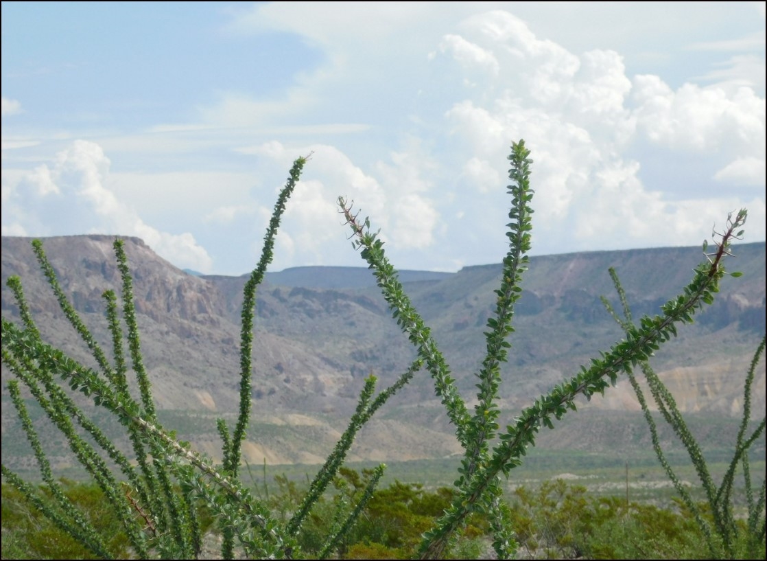 Texas Presidio County 20 Acre Property Near Big Bend Ranch State Park! Great Investment And Recreation! Low Monthly Payments! - Image 6