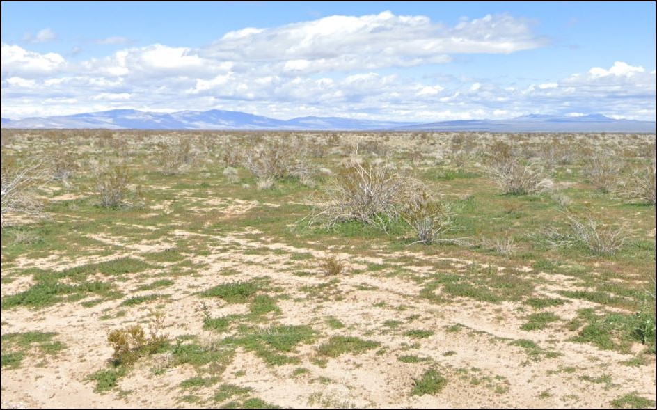 California City Parcel in Kern County Near Randall Street with Off Road Appeal - Image 4