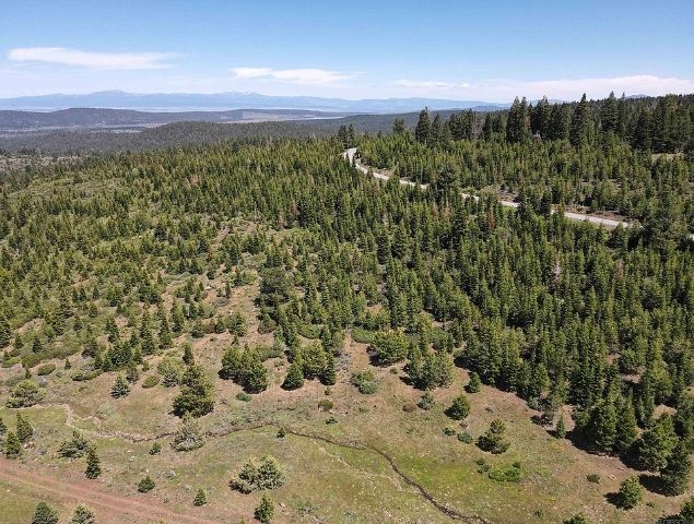 Fresh Mountain Air Retreat near Pond! 1 Acre Amazing Unique Property in Modoc County California! Low Monthly Payment! - Image 2