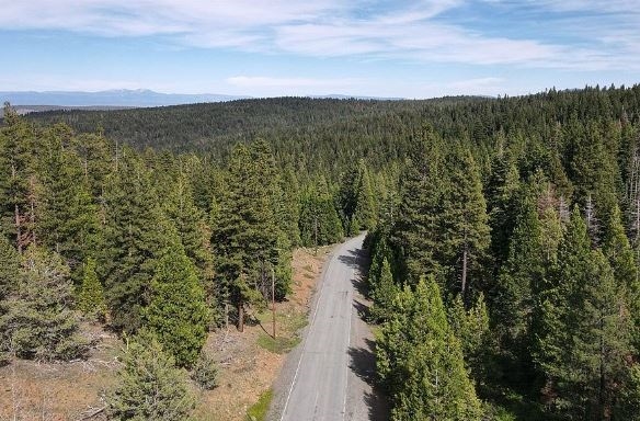 Fresh Mountain Air Retreat near Pond! 1 Acre Amazing Unique Property in Modoc County California! Low Monthly Payment! - Image 3