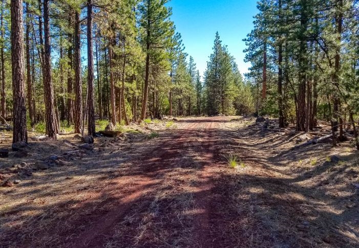 Fresh Mountain Air Retreat near Pond! 1 Acre Amazing Unique Property in Modoc County California! Low Monthly Payment! - Image 4