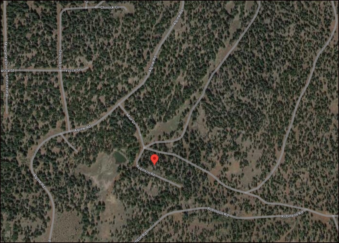 Fresh Mountain Air Retreat near Pond! 1 Acre Amazing Unique Property in Modoc County California! Low Monthly Payment! - Image 5