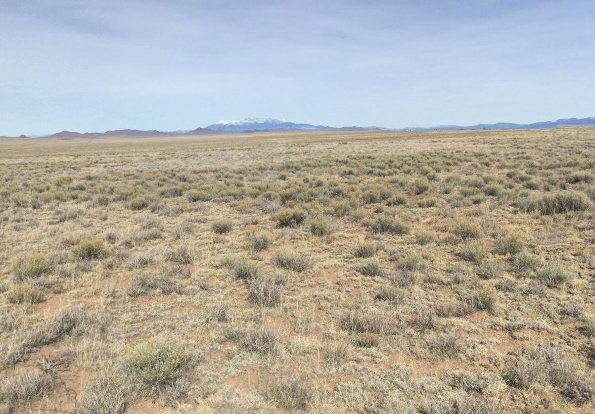 Saturday Rare Selection | Win Land, Jewelry, Gemstones & More - Image 5