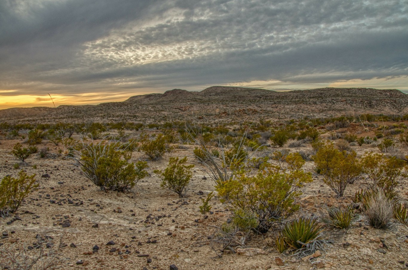 250th 4th of July Celebration Land Sale | Low Monthly Payments and No Credit Checks - Image 9